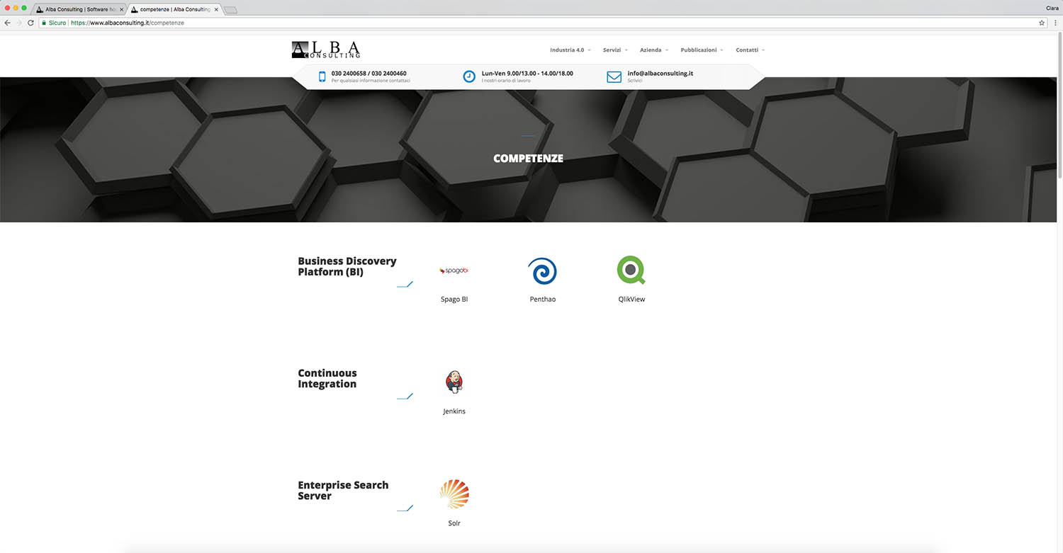Pagina delle competenze con testo e loghi di Alba Consulting
