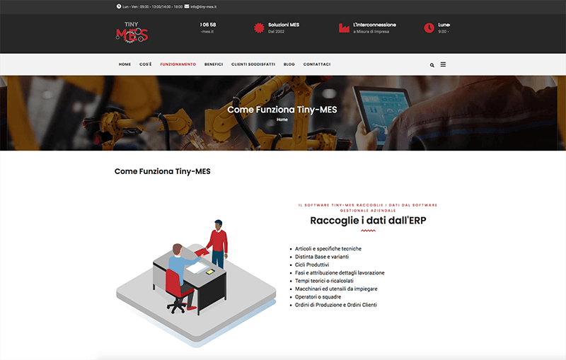 Come funziona TIny-MES - sem-seo.it - Creazione siti internet a brescia